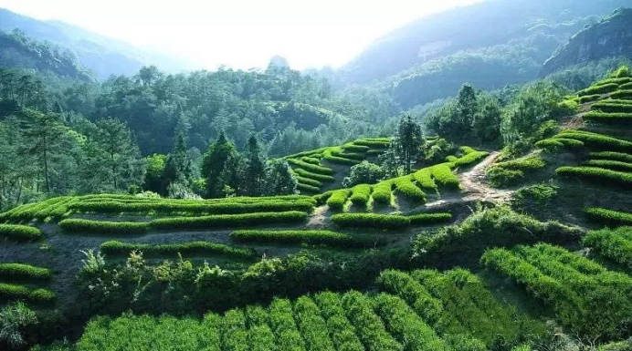 1681723169451467.png 4.png